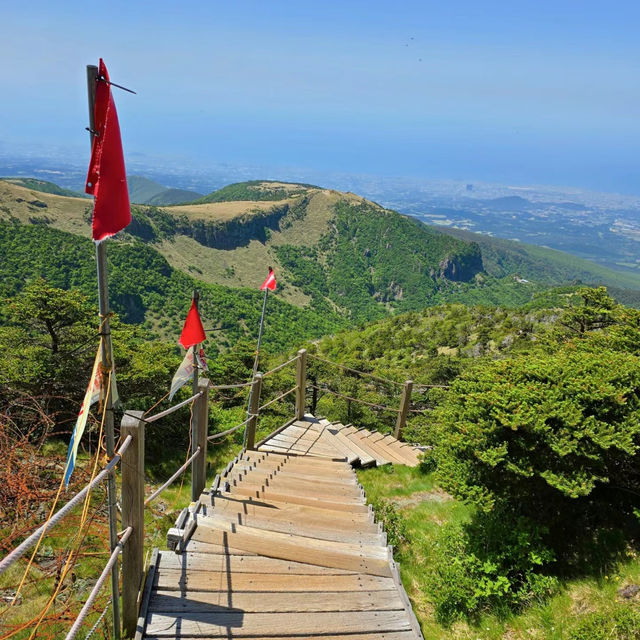 「春天踏青必去！象山步道，山谷城市景色一覽無遺！」