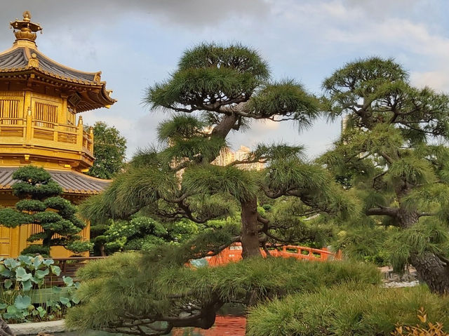 繁榮市區裏享受一個寧靜的公園