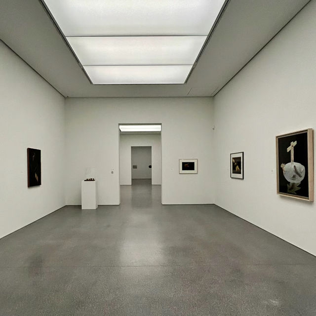 「Babylon Gallery」：前衛藝術、創新視覺震撼，吸引遊客