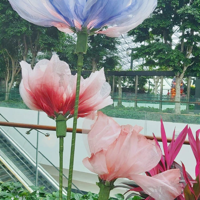 Jewel Blooms @ Jewel Changi Airport 🇸🇬