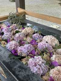 【福岡神社】センス抜群の花手水を楽しめる神社