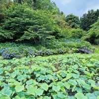 穴虫の郷