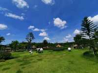 Viva Foresta Farm