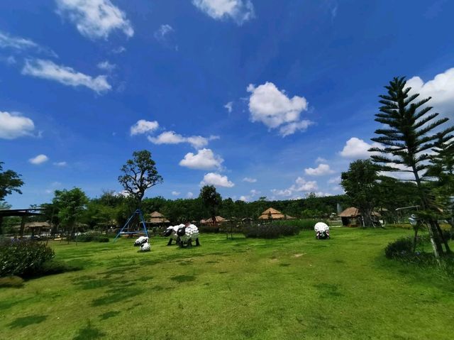 Viva Foresta Farm