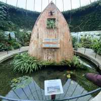 Invercargill皇后公園