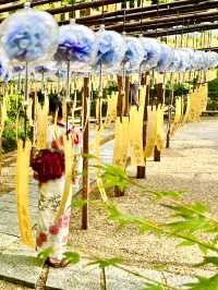 〜京都府〜夏の風鈴寺🎐♡の窓が可愛いお寺さん