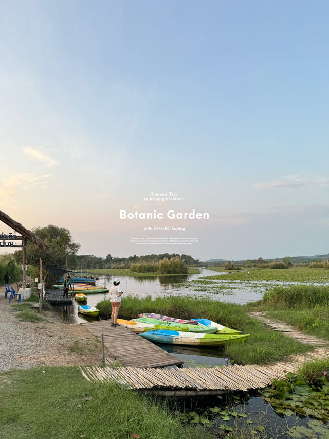 สวนพฤกษศาสตร์ | ระยอง 🚣🏻‍♂️🌳🌿☀️