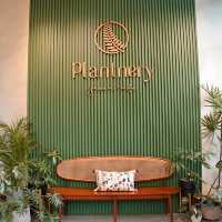 ☕ Plantnery Green Cafe