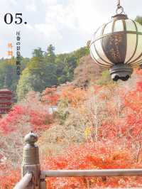 奈良に美し過ぎる『お寺』があるって知ってた⁉️