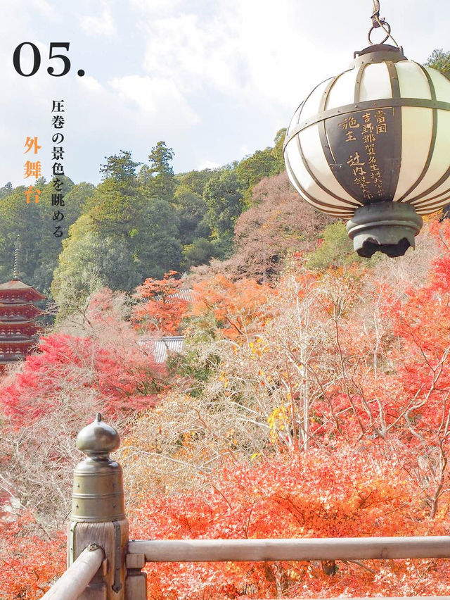 奈良に美し過ぎる『お寺』があるって知ってた⁉️