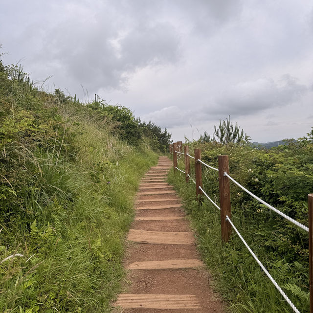 제주에서 가장 예쁜 가볍게 오르기 좋은 오름 ✨