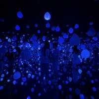 【江陵】Arte Museum Valley：2小時沉浸式藝術體驗