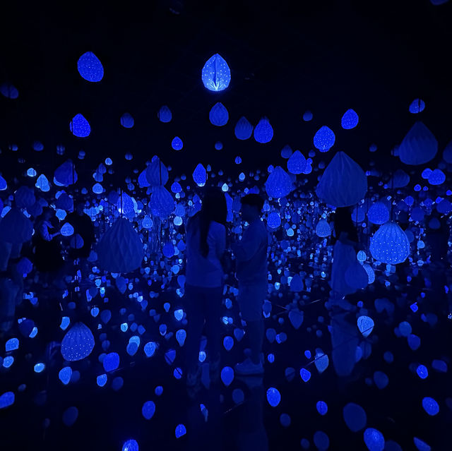 【江陵】Arte Museum Valley：2小時沉浸式藝術體驗