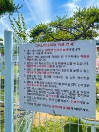동탄 애견놀이터가 있는 브런치카페 아스타나퍼피