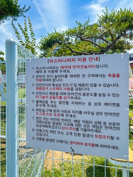 동탄 애견놀이터가 있는 브런치카페 아스타나퍼피