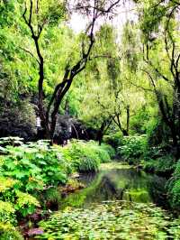 Most Popular Spot in Hangzhou