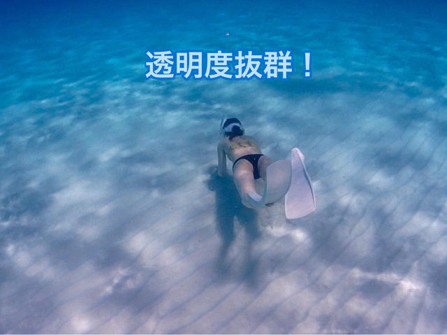 日本最南端の有人島!!波照間島で極上のビーチタイム！🌴