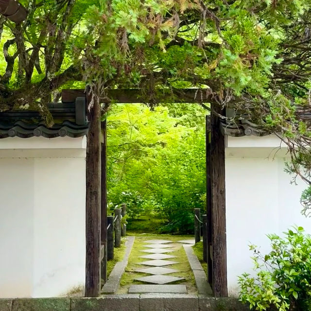 福岡城：歷史漫步