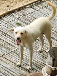 ธรรมชาติคาเฟ่ สวนผึ้ง