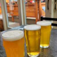 San Francisco Half Moon Bay brewer beer