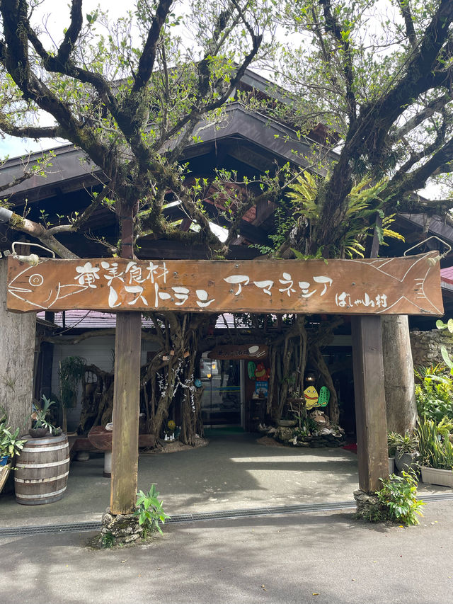 奄美大島　島グルメが絶品のレストラン🐐