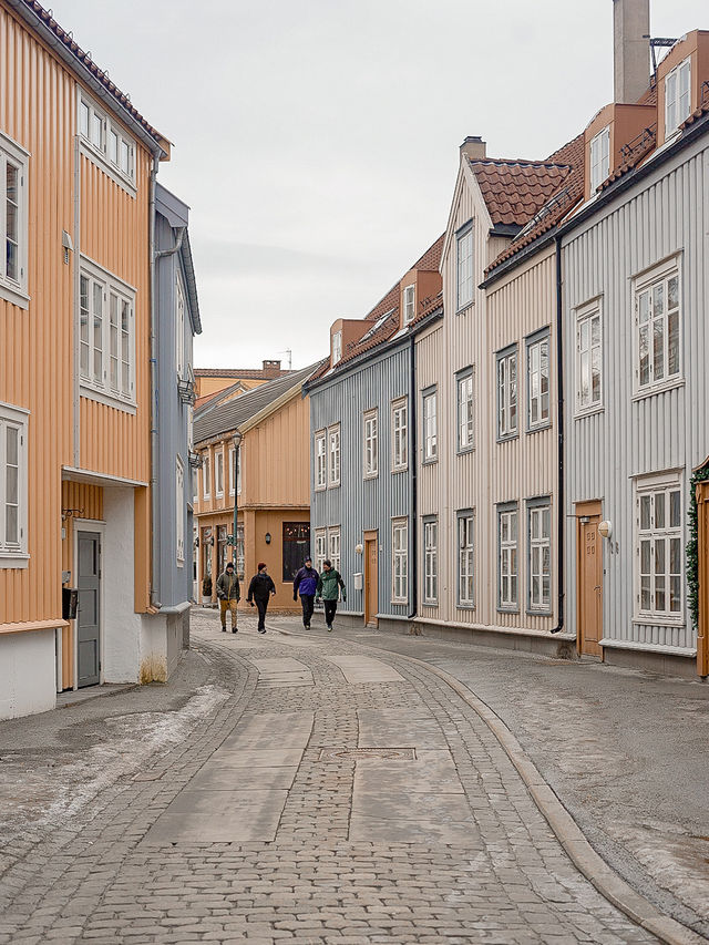 📍Trondheim