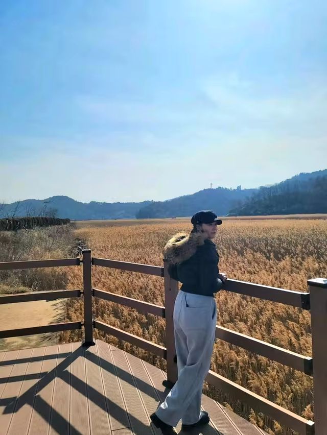 벌교에서 꼭 가볼만한 보성 여행지🐚