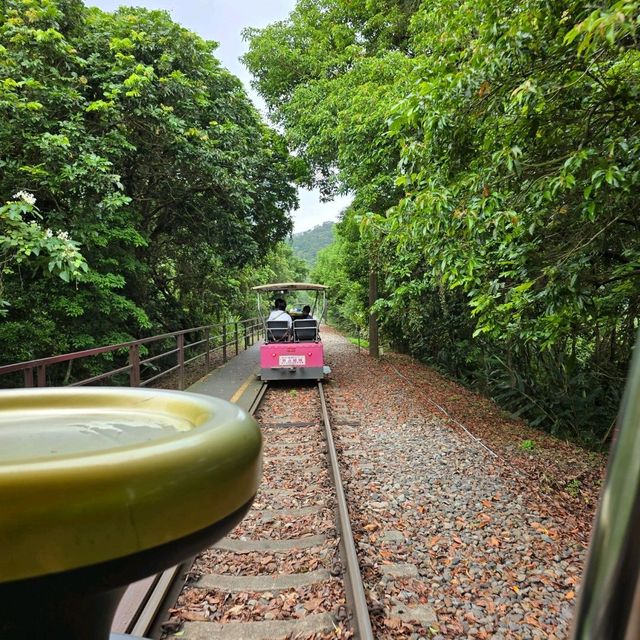 [苗栗三義] 勝興車站 體驗懷舊的舊山線鐵道自行車