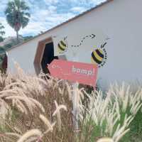 Bamp : beach & cafe @หัวหิน