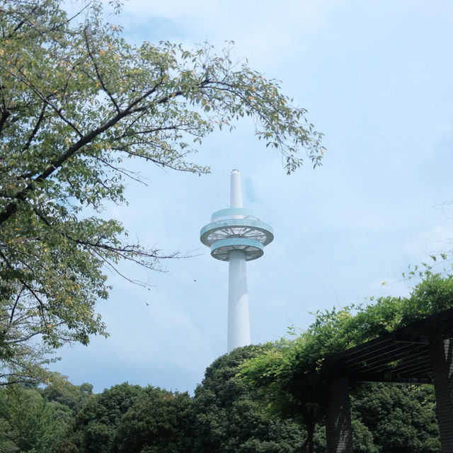 【埼玉】飛行機好き必見✈️「所沢航空記念公園」