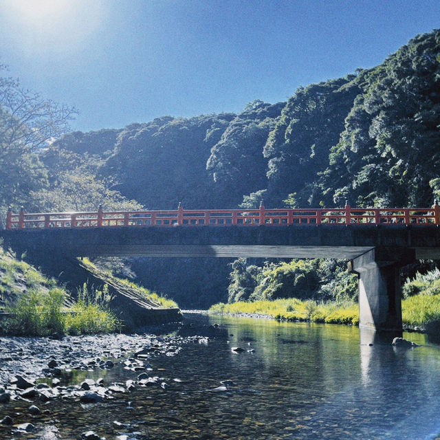 岩屋公園キャンプ🏕️