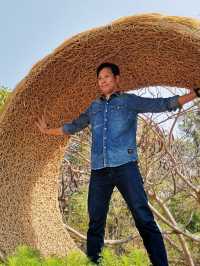Please Don’t Tell Khaoyai