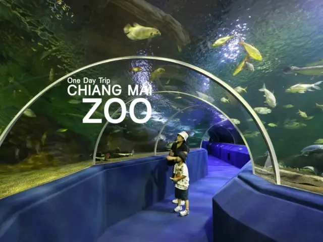 清邁動物園