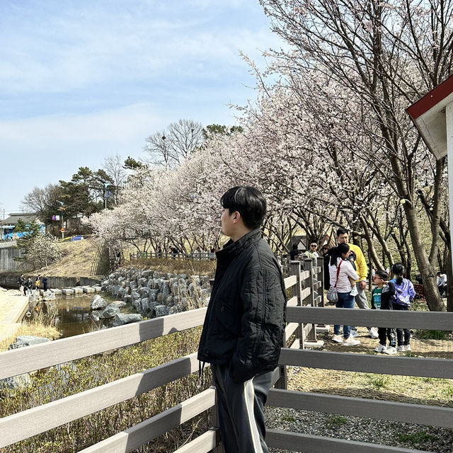 예쁜 꽃과 호수가 인상깊었던 이천 설봉공원🏞️