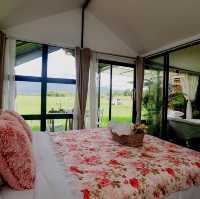 Viewna Little Home 