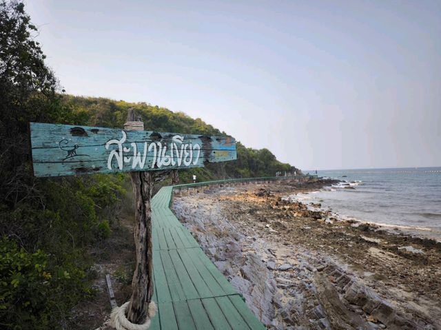 หาดแสม สะพานเขียว เกาะล้าน