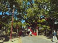 九州代表的神社象徵~太宰府天滿宮