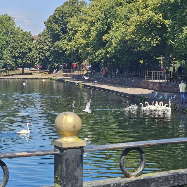 Cardiff’s Green Oasis