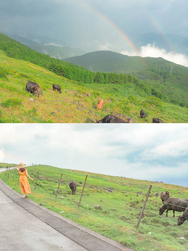 絶景の高知旅🧡絶景スポットを巡ったよ🚗✨