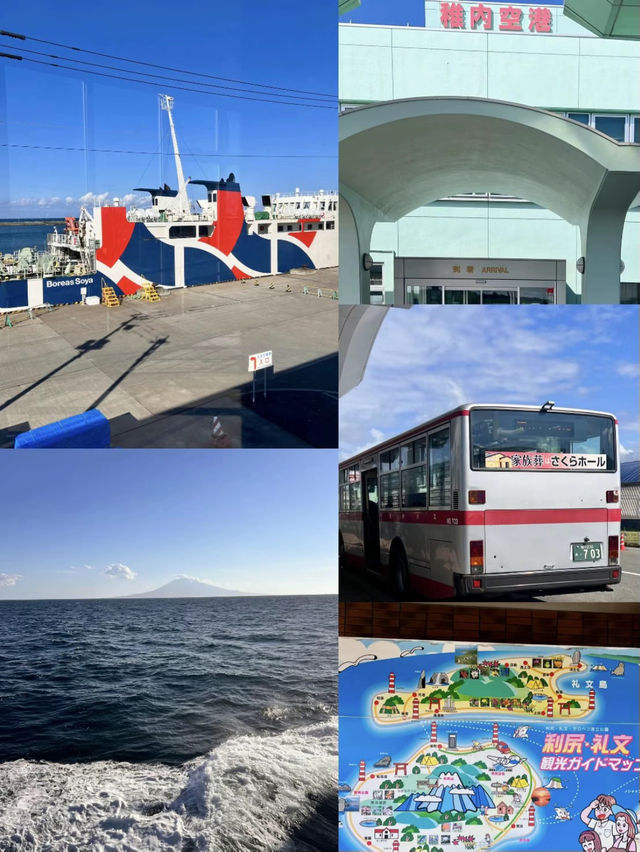【完全保存版】北の最果て礼文島２泊3日の旅プラン✨
