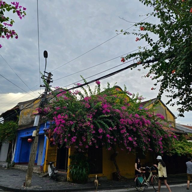 เมืองฮอบอัน
