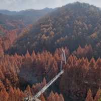 Breathtaking Views and Fall Colours at Jangtaesan Mountain