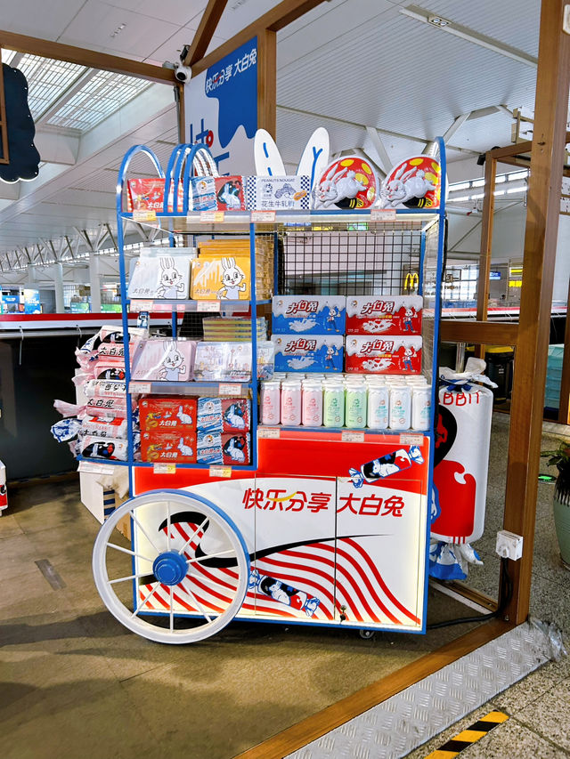 What To Buy at Shanghai Hongqiao Railway Station 