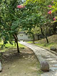 도심 속 중국식 전통공원 월화원 🌿