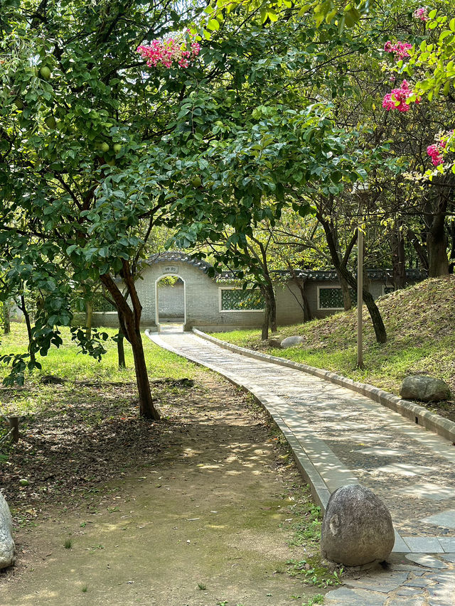 도심 속 중국식 전통공원 월화원 🌿