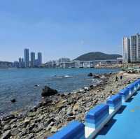 【韓国/釜山】白瀬文化村（ヒンヨウル文化村）🐠