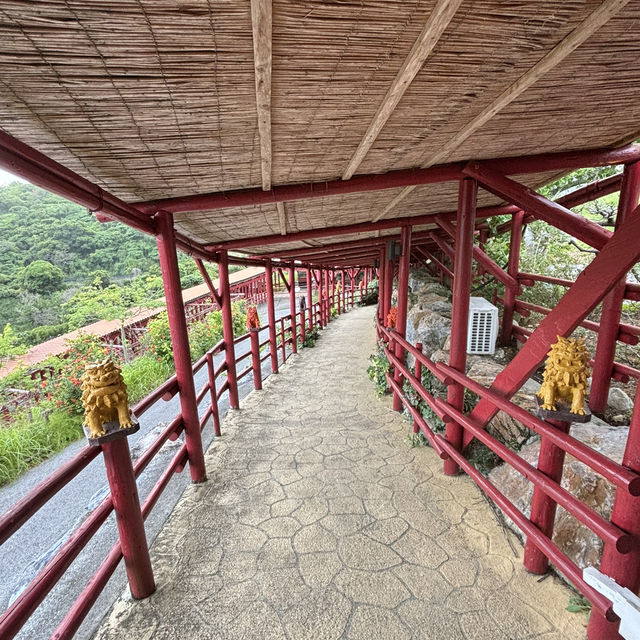 探索沖繩大家之鄉：山林中的美食與風景
