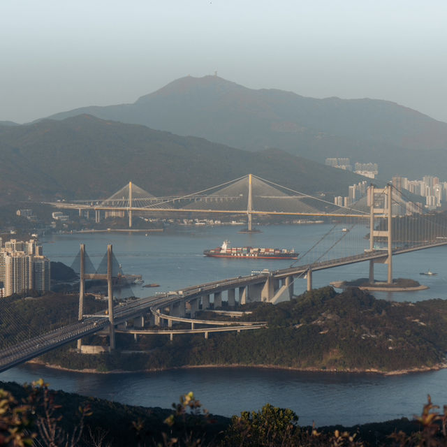 花瓶頂行山徑 青馬大橋