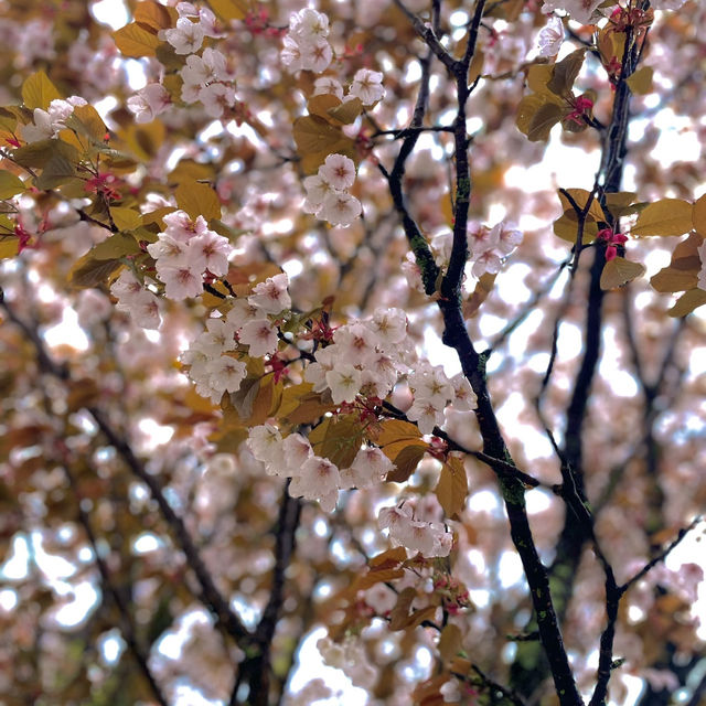 เมืองมรดกโลก Nikko ใกล้ Tokyo