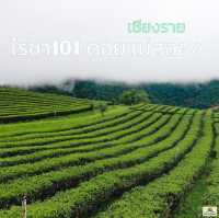 ไร่ชา101 ดอยแม่สลอง   จ.เชียงราย